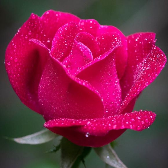 deborah_ruth